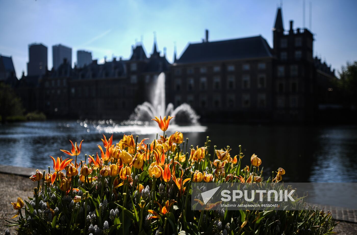 Netherlands Tourism