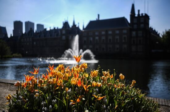 Netherlands Tourism