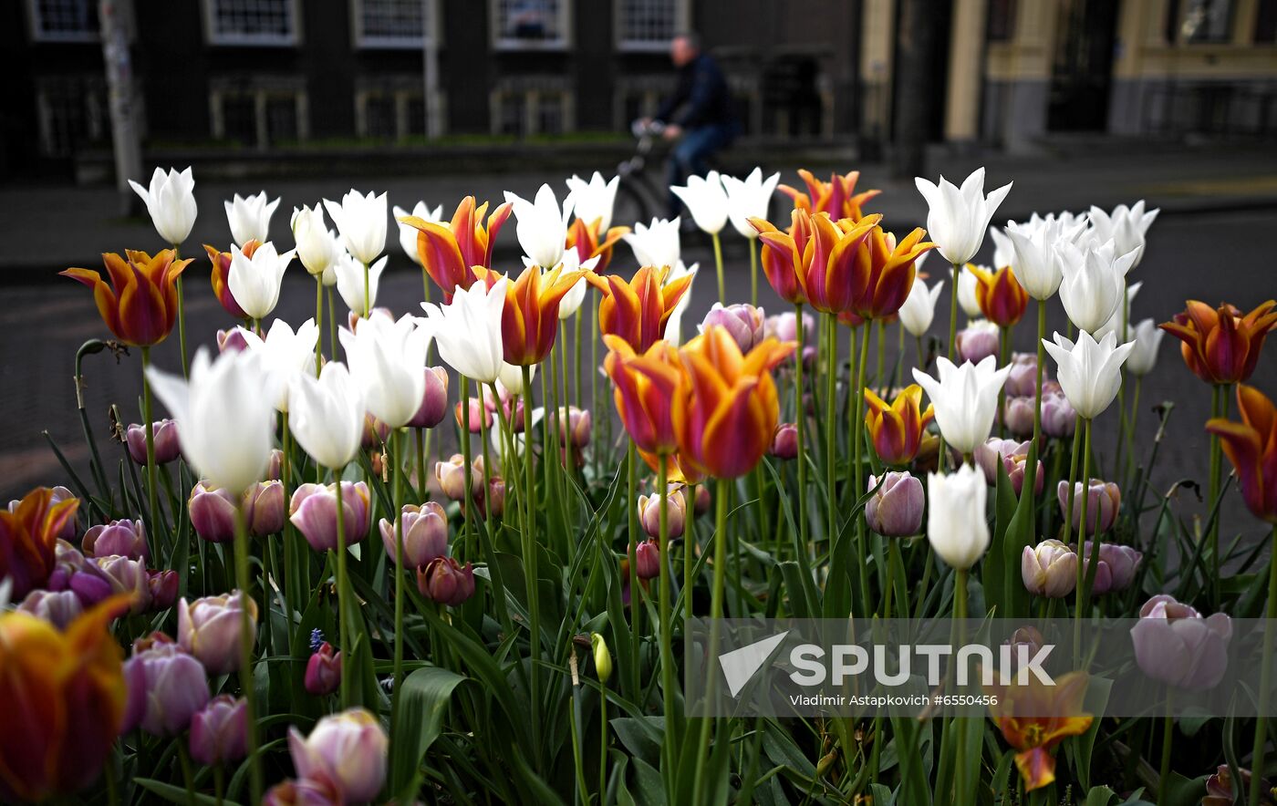 Netherlands Tourism