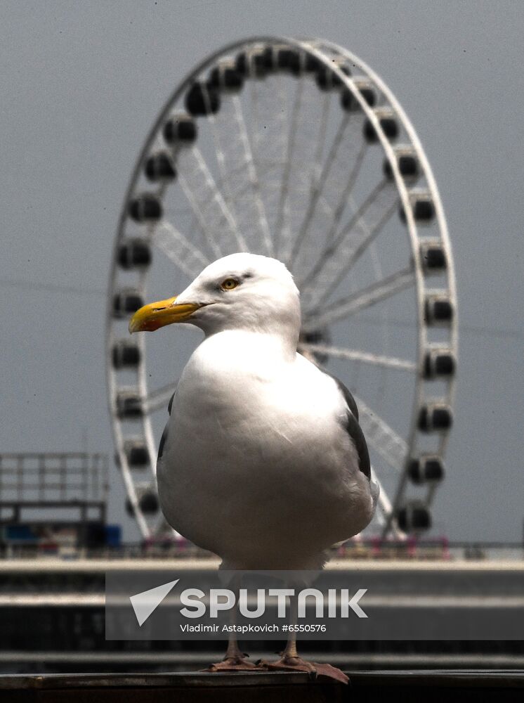 Netherlands Tourism