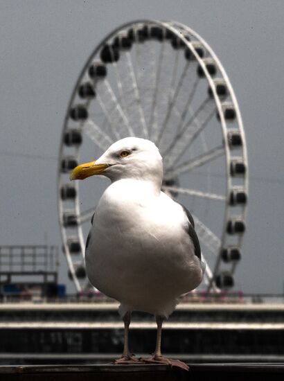 Netherlands Tourism