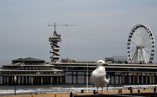 Netherlands Tourism