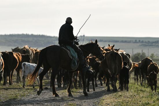 Russia Daily Life