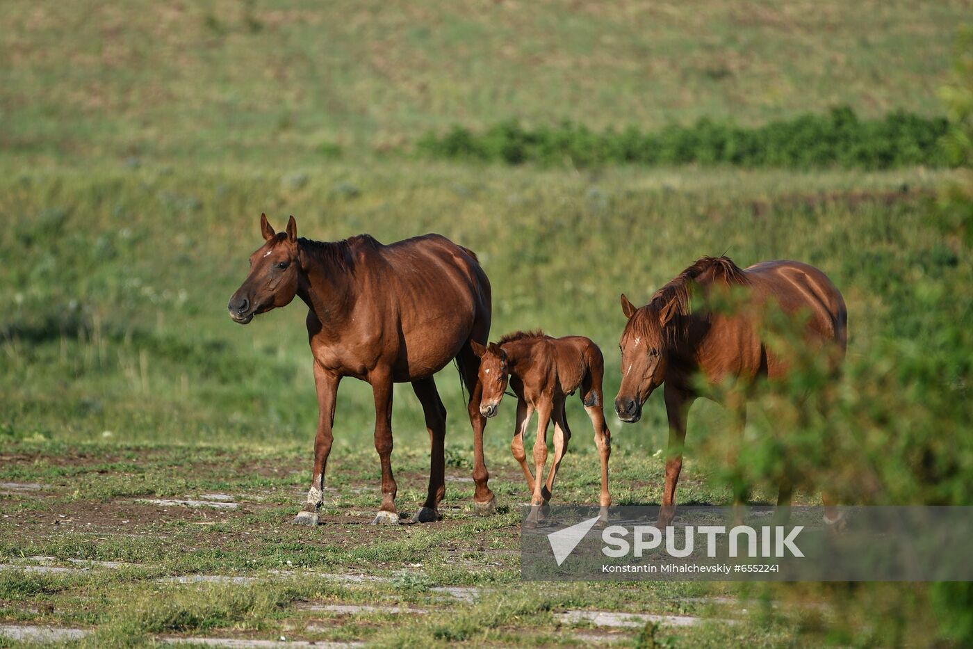 Russia Daily Life