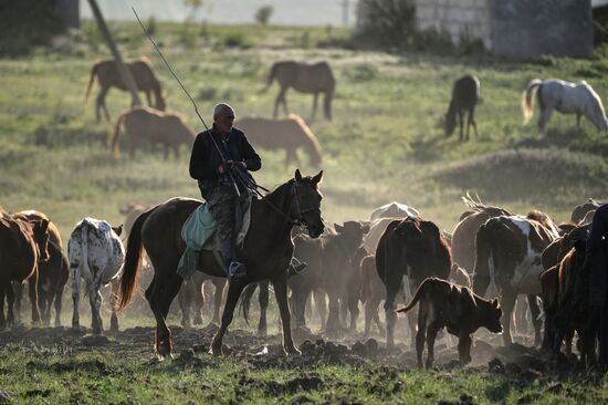 Russia Daily Life
