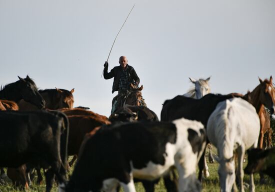 Russia Daily Life