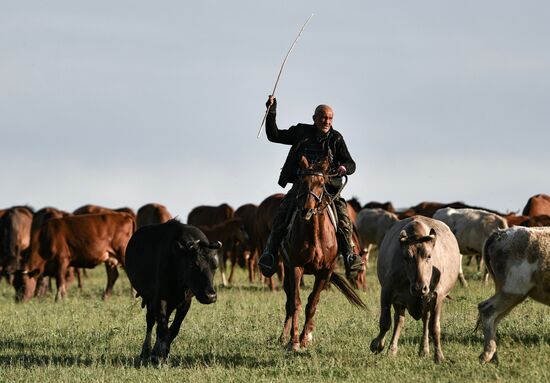 Russia Daily Life