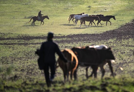 Russia Daily Life