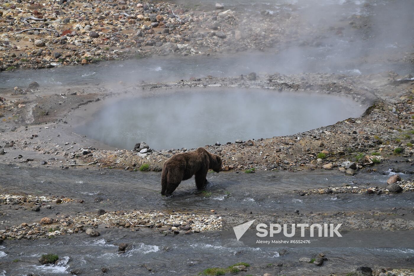 Russia Deputy PM Kamchatka Territory
