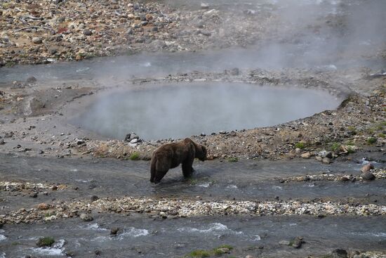 Russia Deputy PM Kamchatka Territory