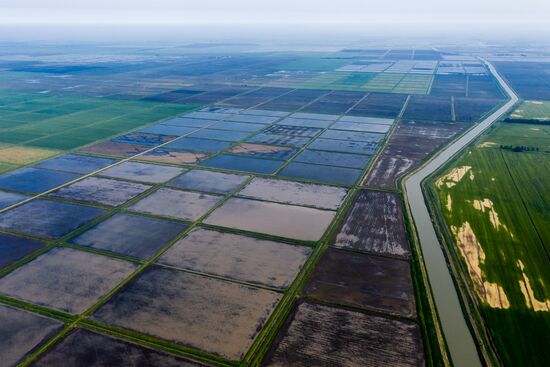 Russia Agriculture Rice
