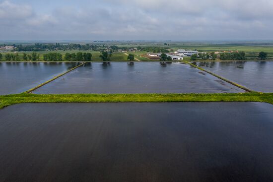 Russia Agriculture Rice