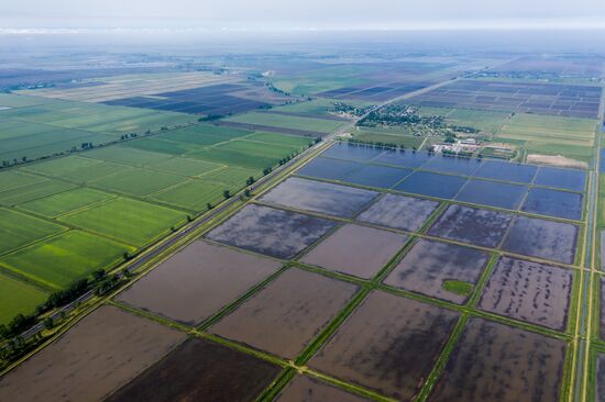 Russia Agriculture Rice