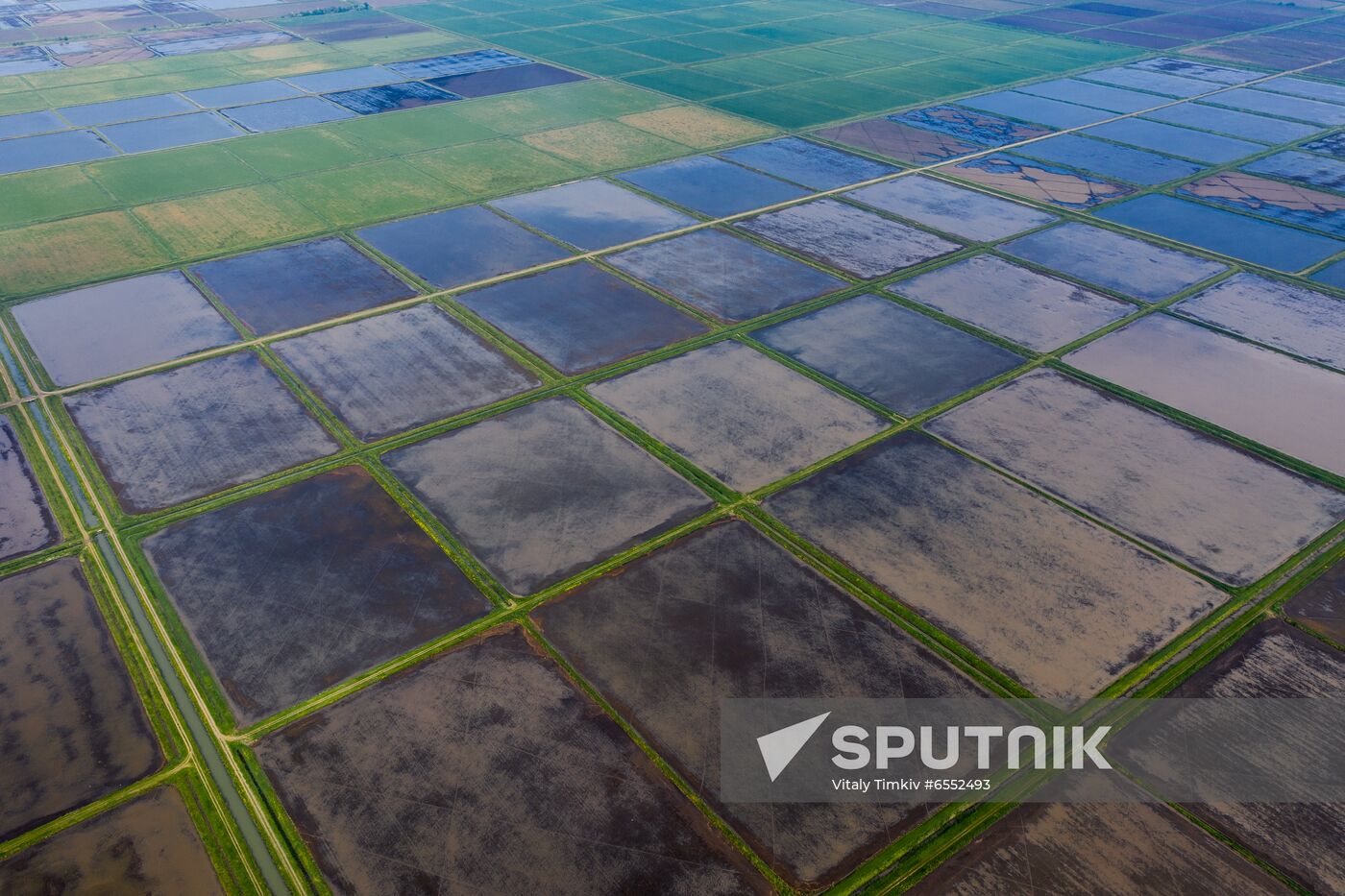 Russia Agriculture Rice
