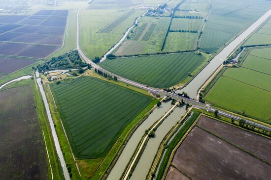 Russia Agriculture Rice