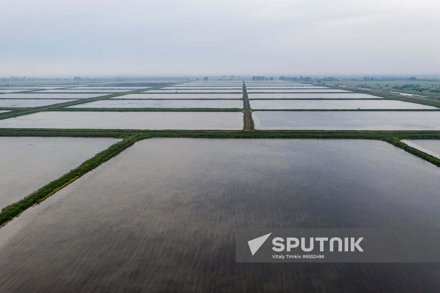 Russia Agriculture Rice