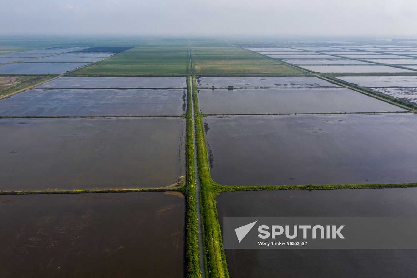 Russia Agriculture Rice