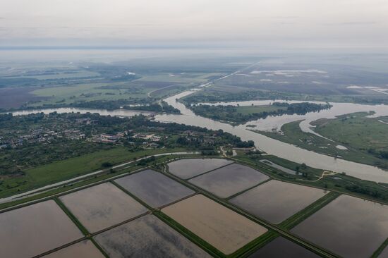 Russia Agriculture Rice
