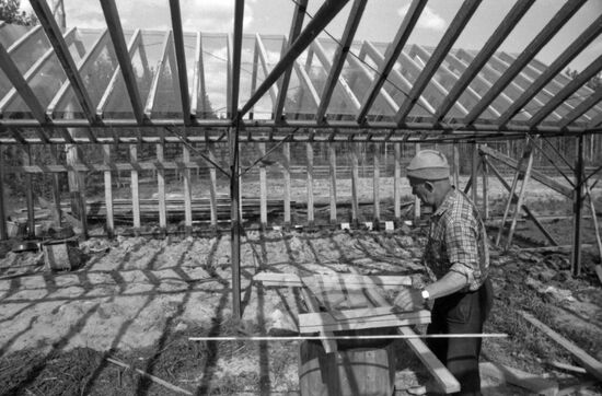 Nikolai Sivkov's farm