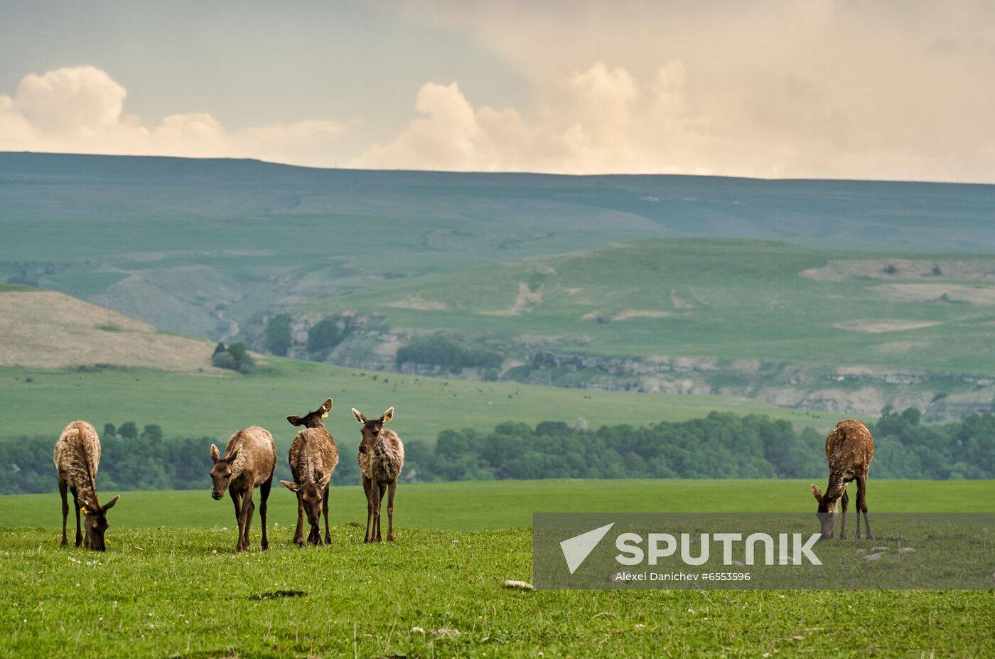 Russia Tourism