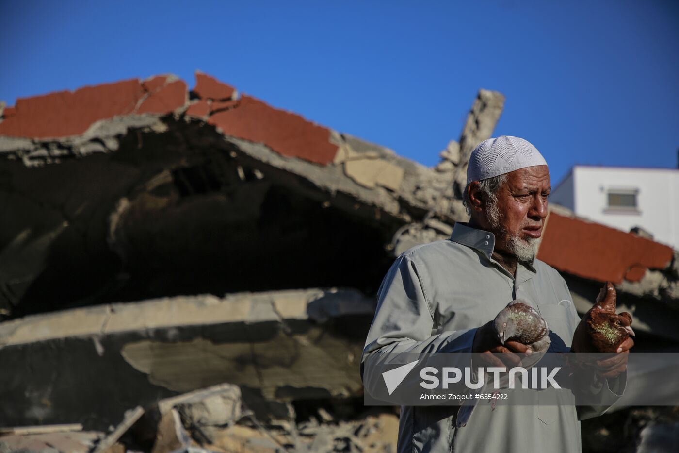 Palestine Israel Ceasefire