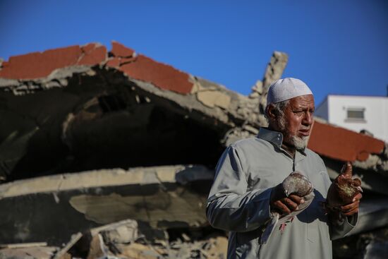 Palestine Israel Ceasefire