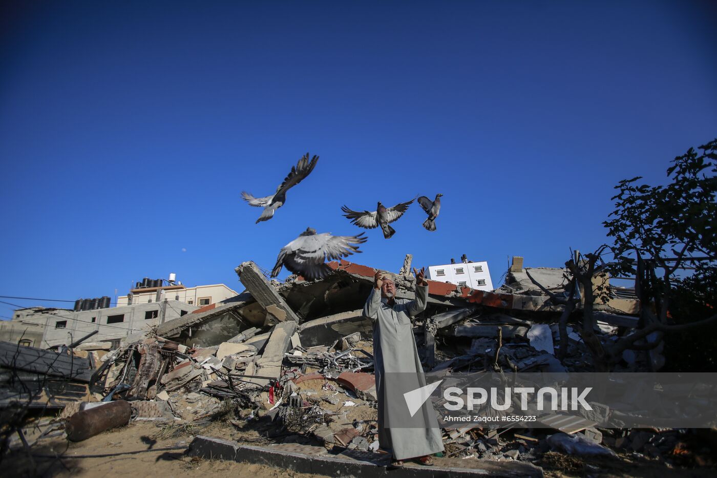 Palestine Israel Ceasefire