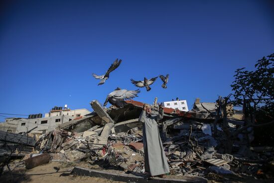 Palestine Israel Ceasefire