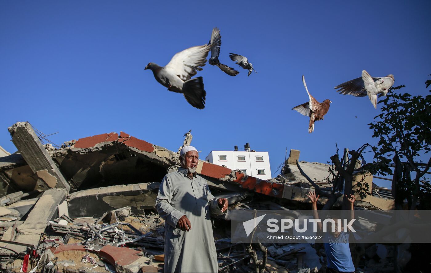 Palestine Israel Ceasefire