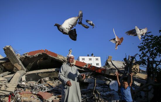 Palestine Israel Ceasefire