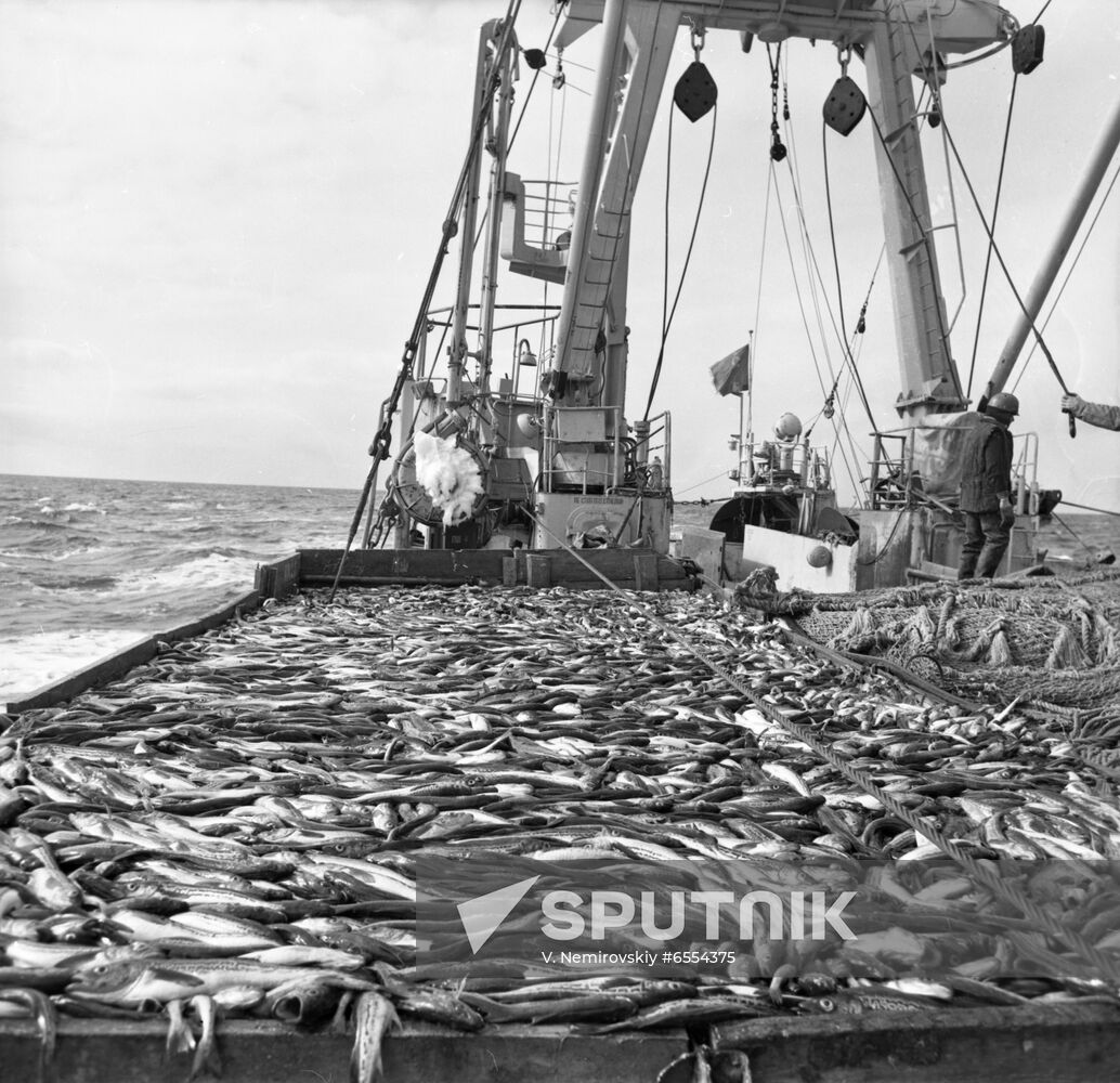 Fishing season in Primorye Territory
