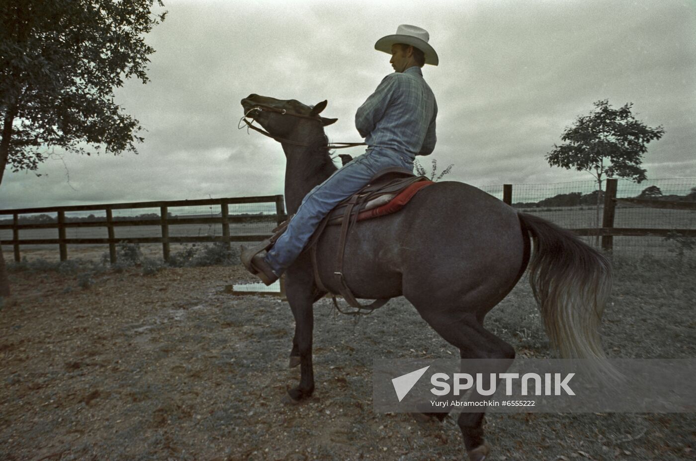 Cowboy at Seven Jay ranch