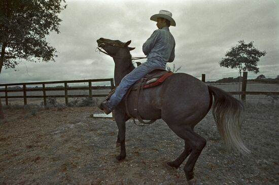 Cowboy at Seven Jay ranch