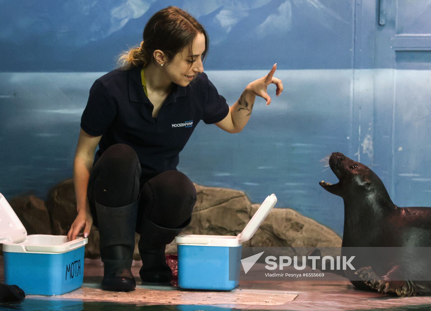 Russia Zoo