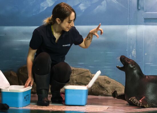 Russia Zoo