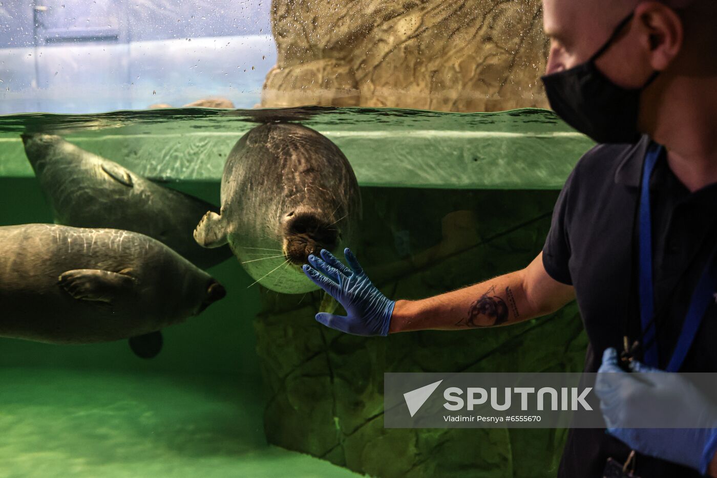 Russia Zoo