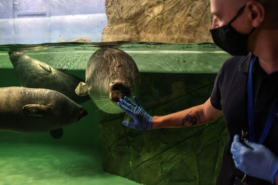 Russia Zoo