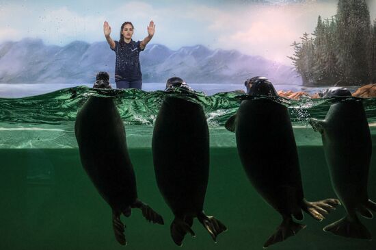 Russia Zoo