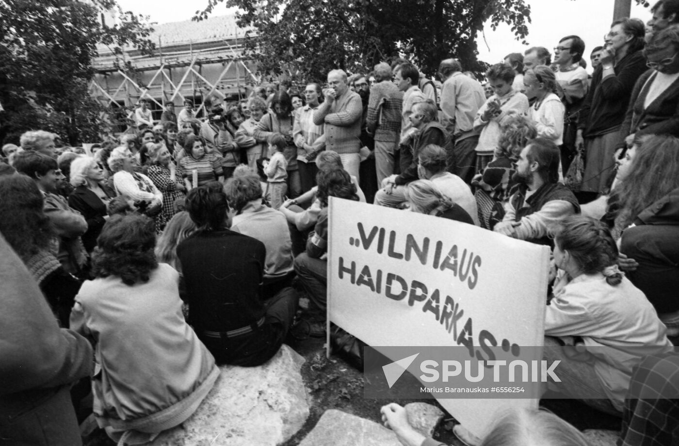 Sajudis political organization holds rally