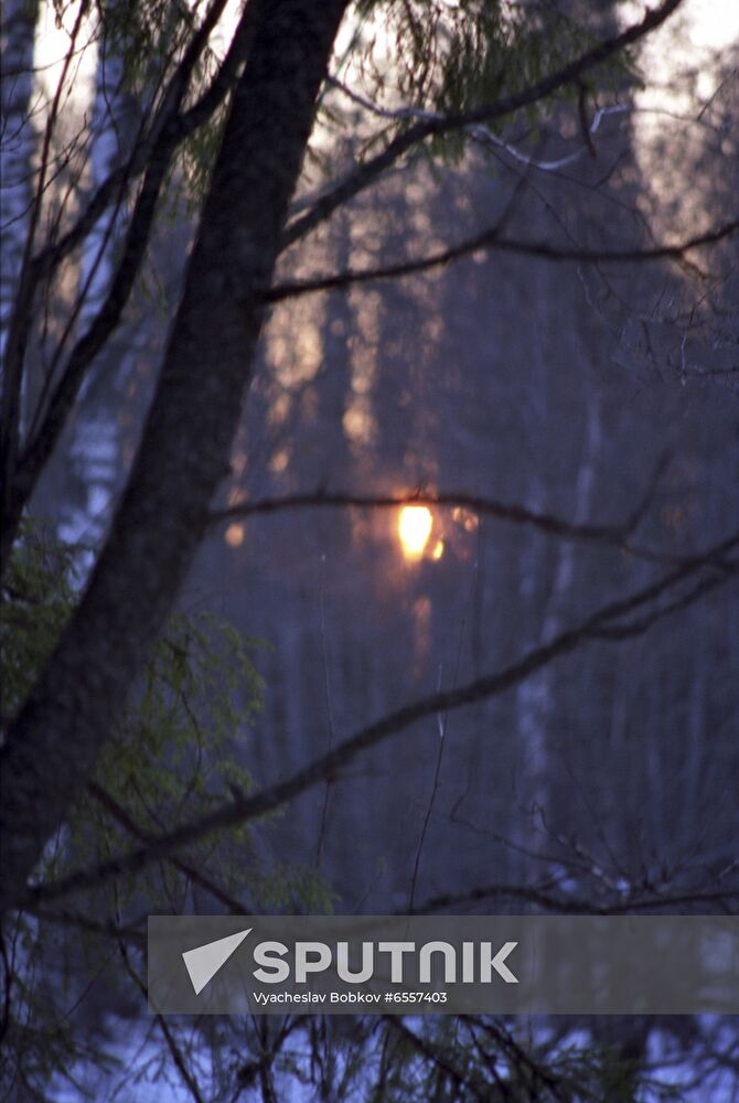 Central Forest State Natural Biosphere Reserve