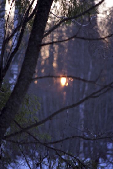 Central Forest State Natural Biosphere Reserve
