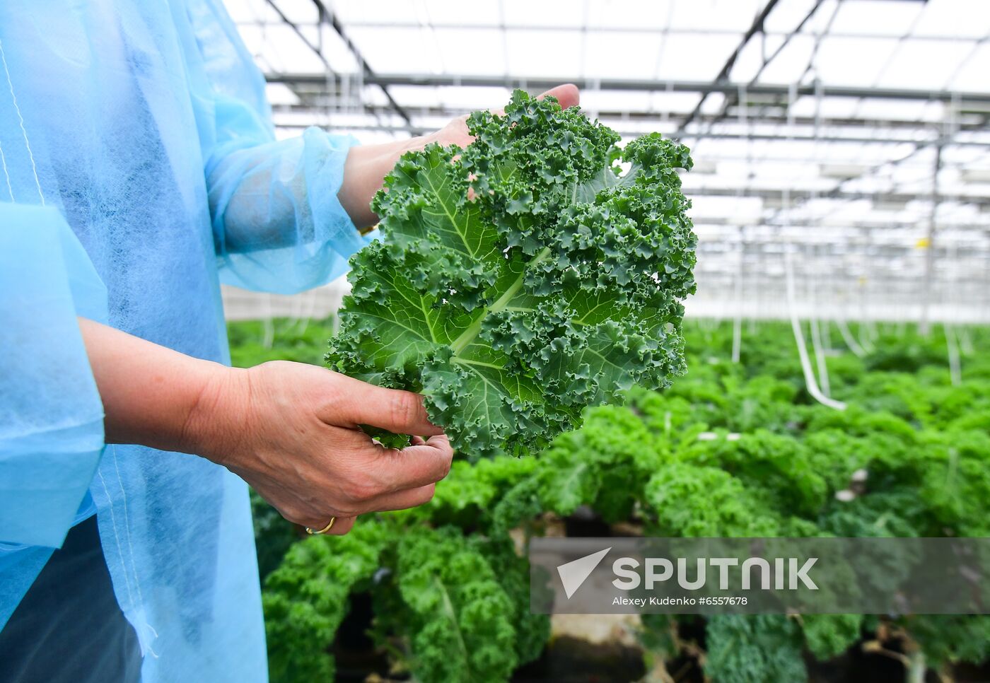 Russia Agricultural