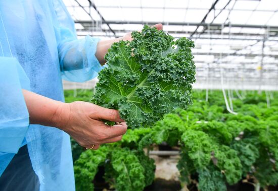 Russia Agricultural