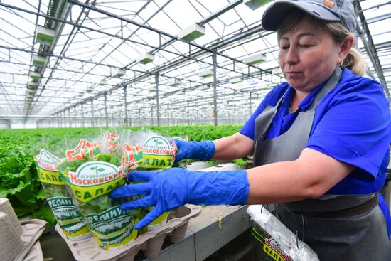 Russia Agricultural