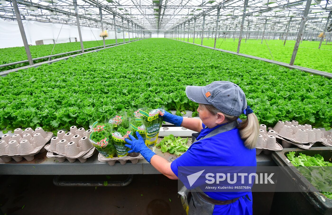 Russia Agricultural