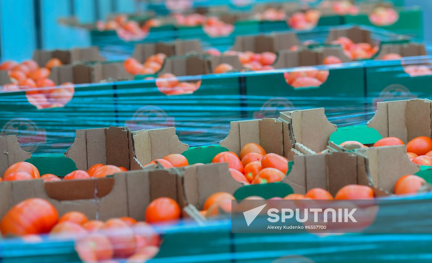 Russia Agricultural