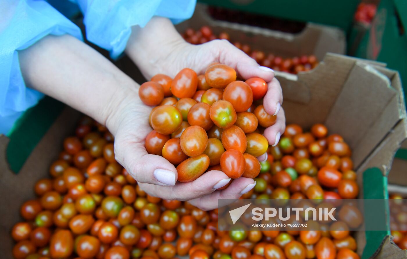Russia Agricultural