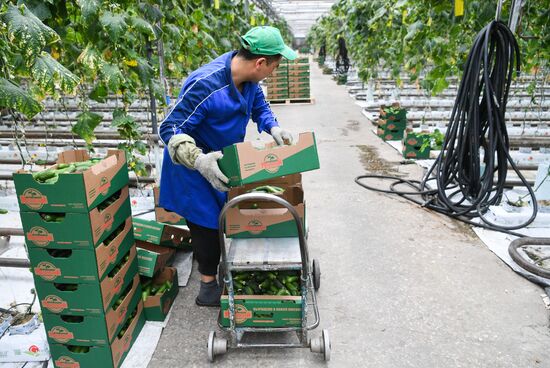 Russia Agricultural