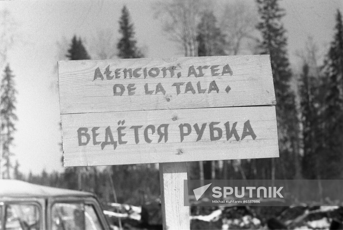 Blagoyevo logging company