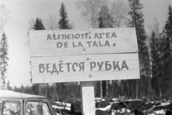 Blagoyevo logging company